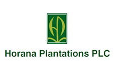 horana-plantations-logo