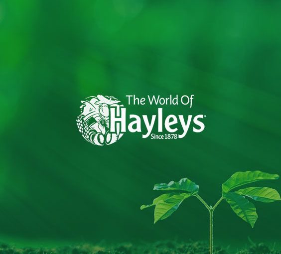 The World of Hayleys