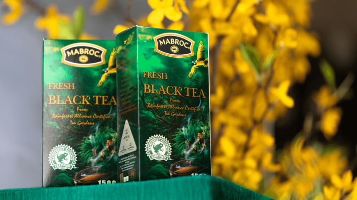 Rain forest tea collection by mabroc Rain forest tea collection by mabroc
