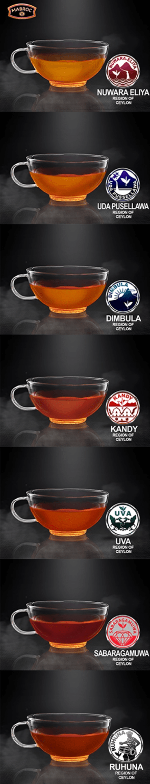 What is difference between black tea and regular tea? | Mabroc Teas