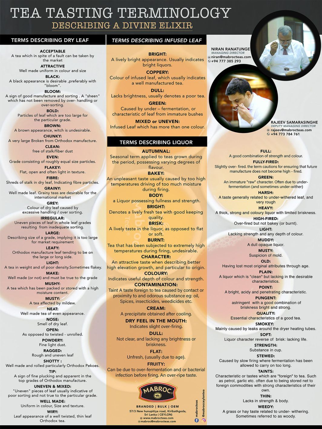 Tea Tasting Terminology Describing a Divine Elixir Mabroc Teas