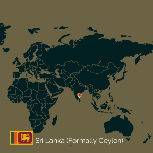 Sri Lanka Marked in the World Map